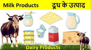 DAIRY PRODUCTS